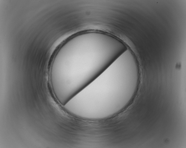 X0000115721028200911121058
