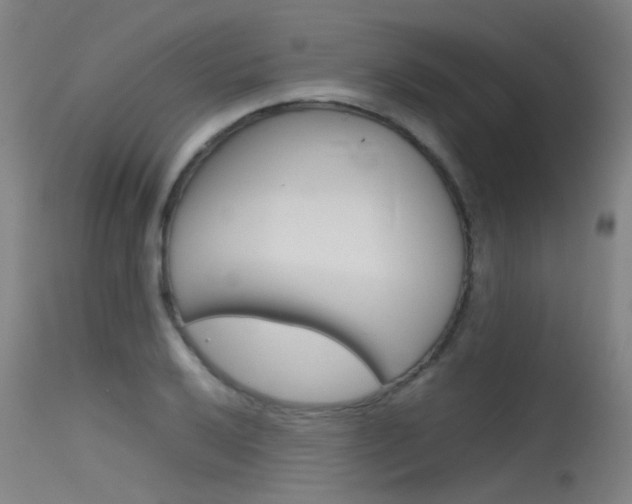 X0000115721032200911121058