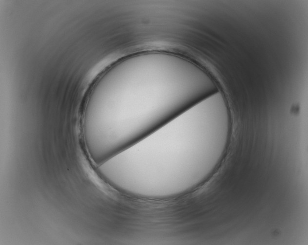X0000115721034200911121058