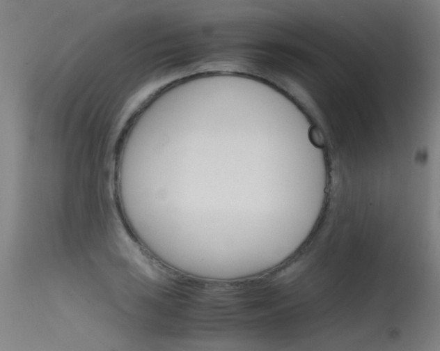 X0000115721035200911121058