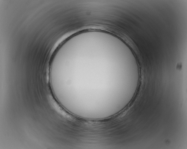 X0000115721036200911121058