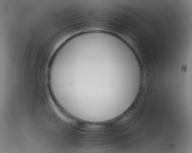 X0000115721039200911121058