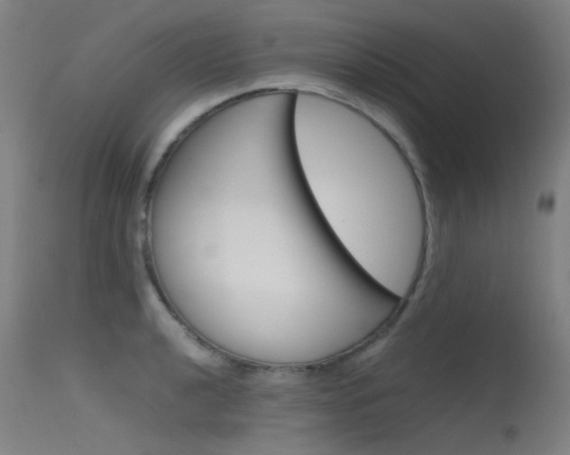 X0000115721040200911121058