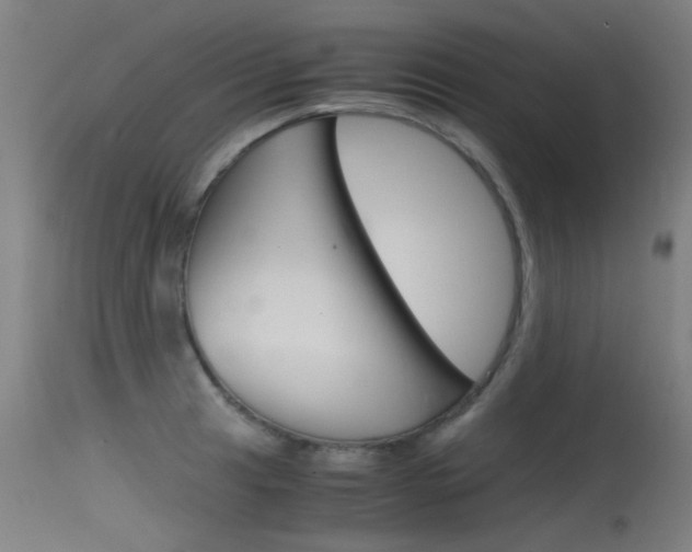 X0000115721041200911121058