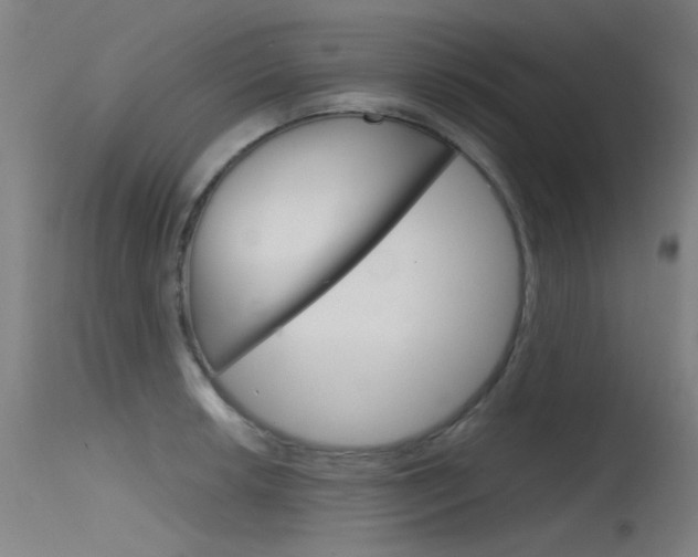 X0000115721042200911121058