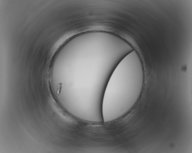 X0000115721043200911121058