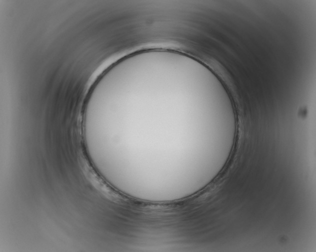 X0000115721044200911121058