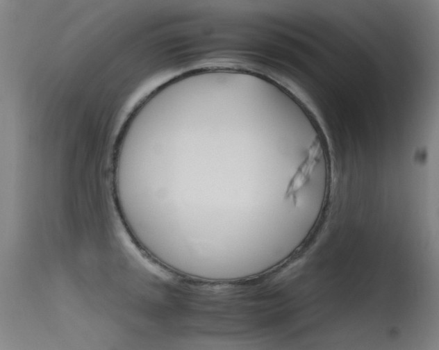 X0000115721045200911121058