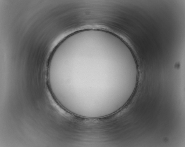 X0000115721046200911121058