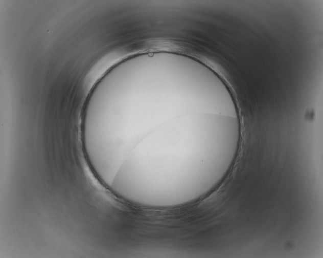 X0000115721047200911121058