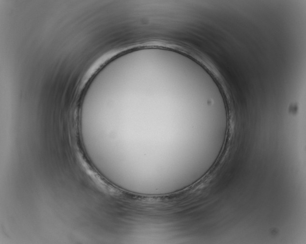 X0000115721048200911121058