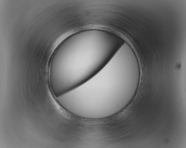 X0000115721050200911121058