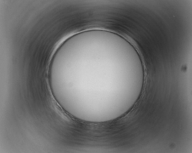 X0000115721051200911121058