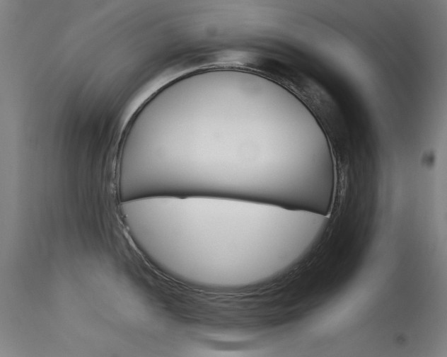 X0000115721052200911121058