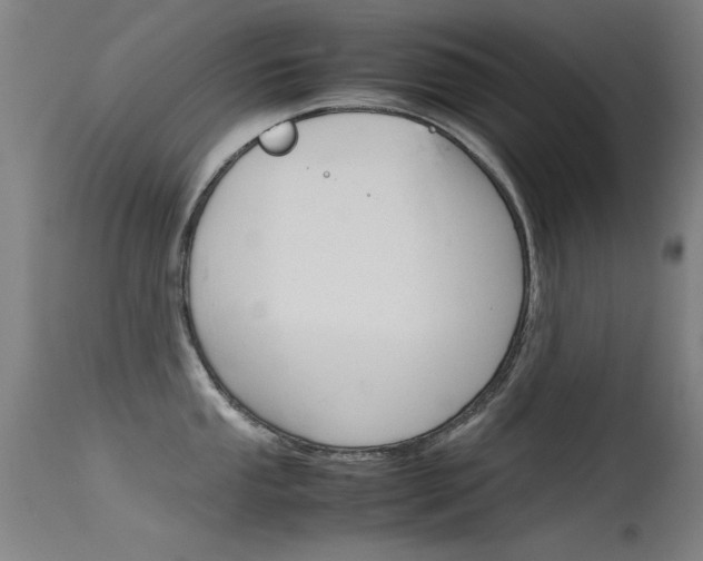 X0000115721053200911121058