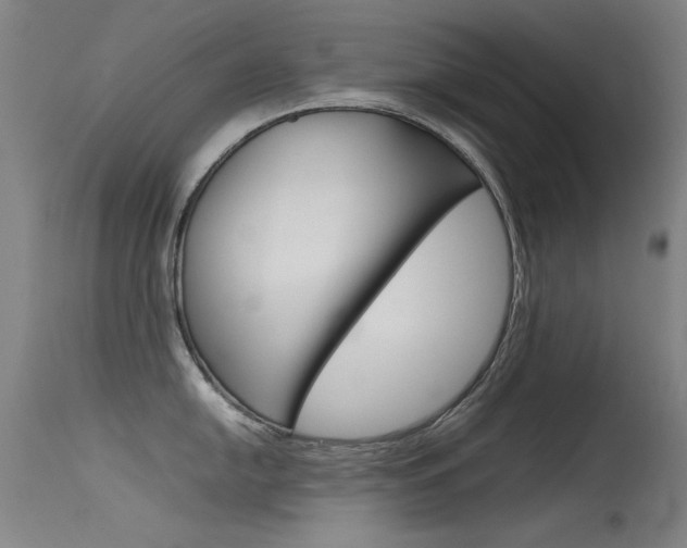 X0000115721054200911121058