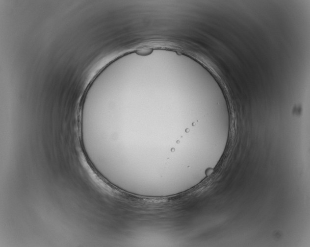 X0000115721055200911121058