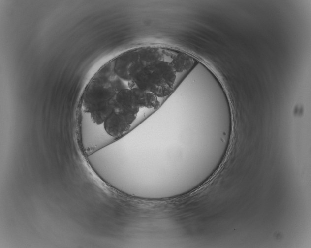 X0000115721056200911121058