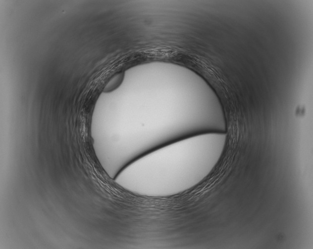 X0000115721058200911121057