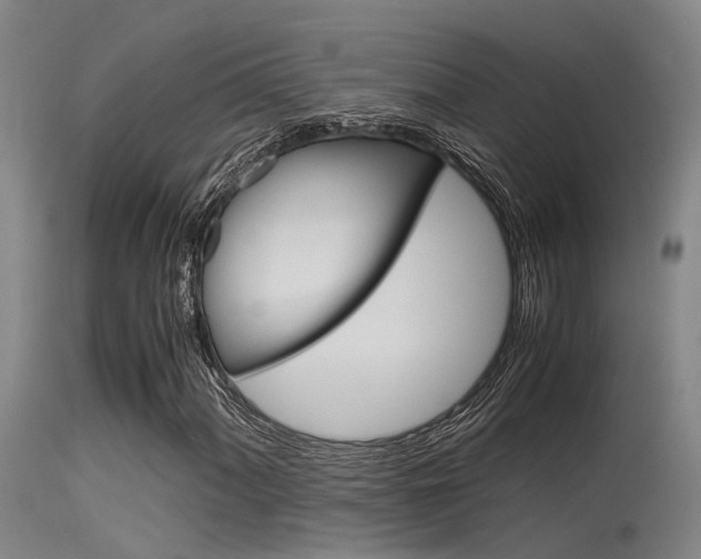 X0000115721060200911121057