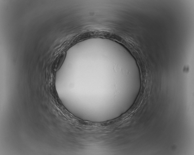 X0000115721061200911121057