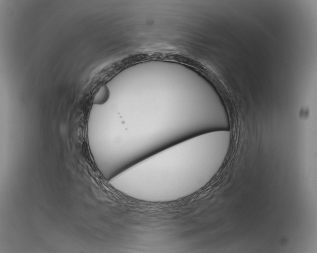 X0000115721063200911121057