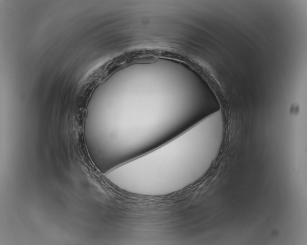 X0000115721064200911121057