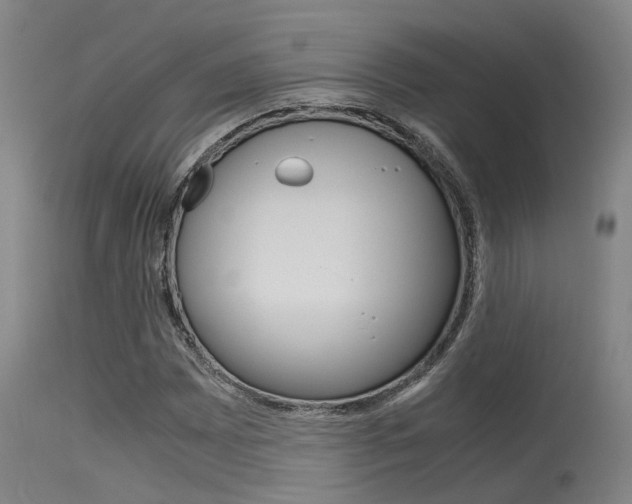 X0000115721065200911121057