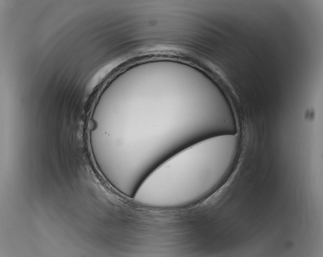 X0000115721066200911121057
