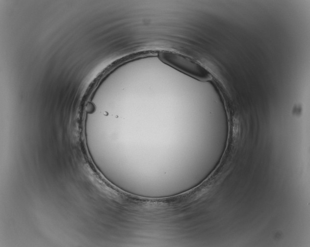 X0000115721068200911121057