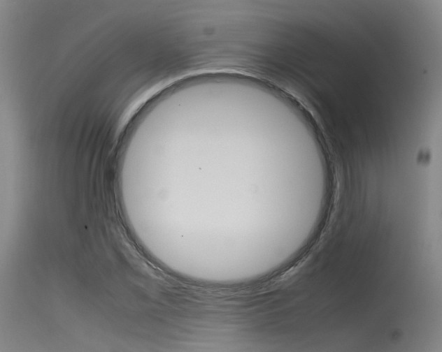 X0000115721069200911121057
