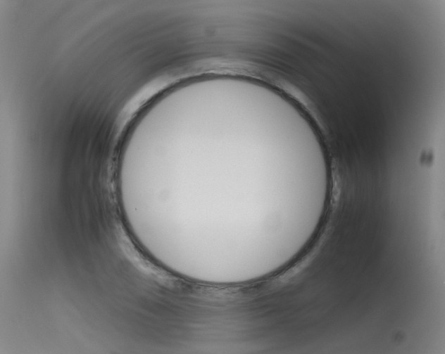 X0000115721074200911121057