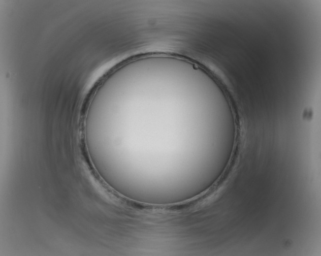 X0000115721077200911121057