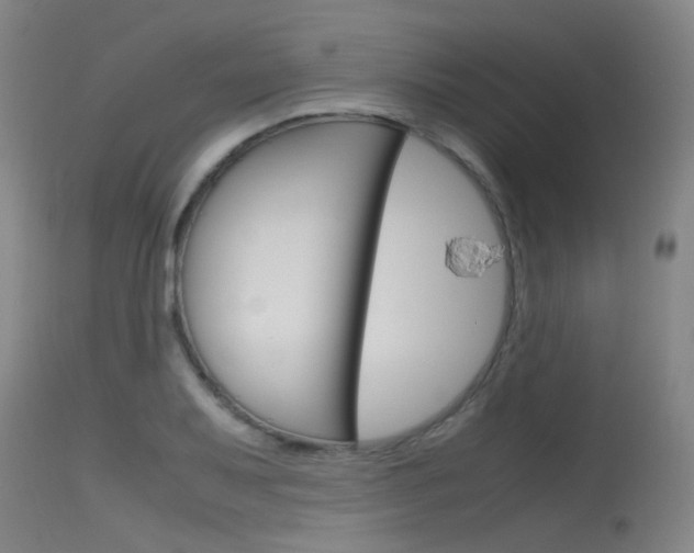 X0000115721079200911121057
