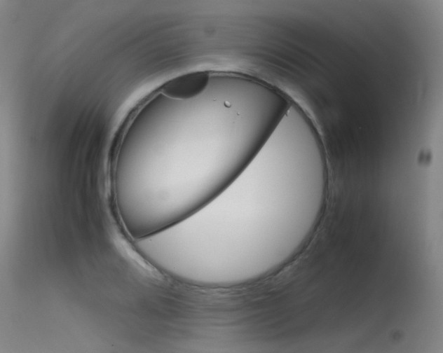 X0000115721080200911121057