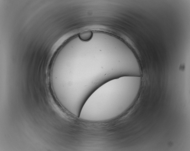 X0000115721082200911121057