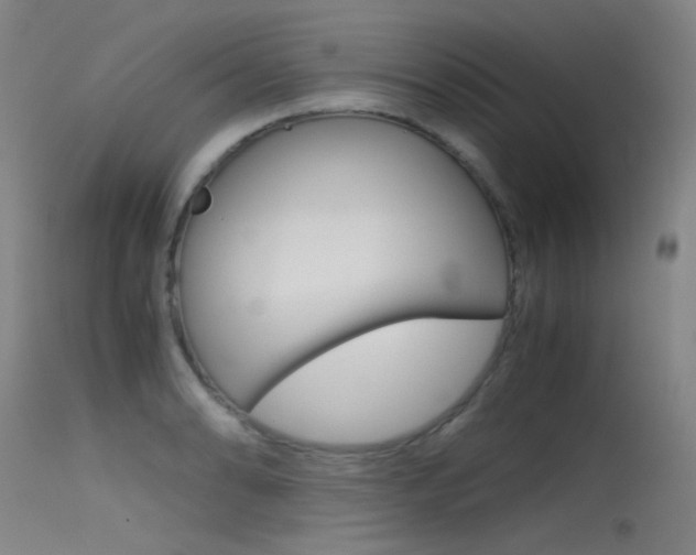 X0000115721086200911121057