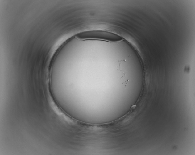 X0000115721088200911121057