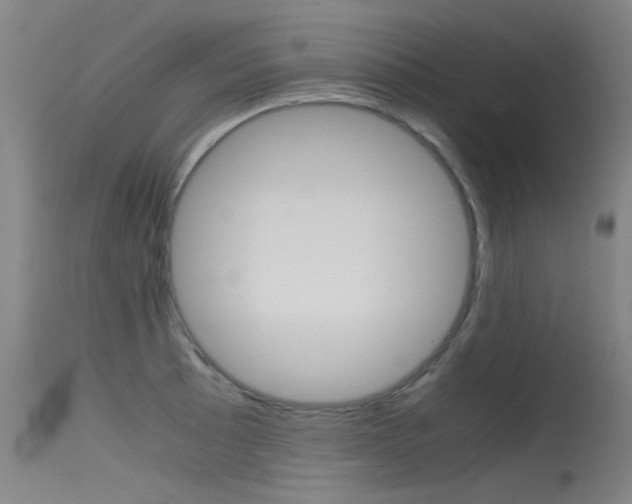 X0000115721089200911121057