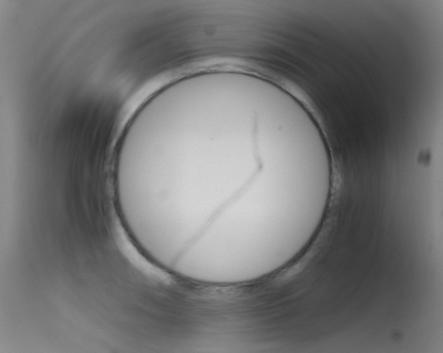 X0000115721090200911121057