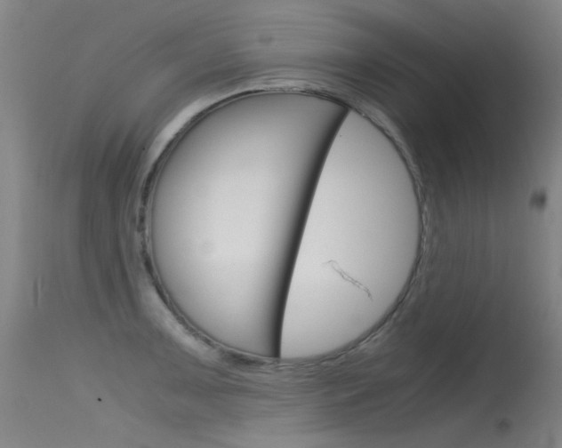 X0000115721091200911121057