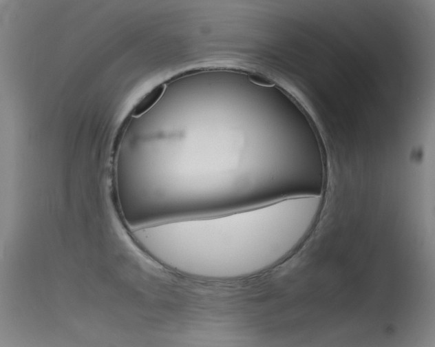 X0000115721093200911121057