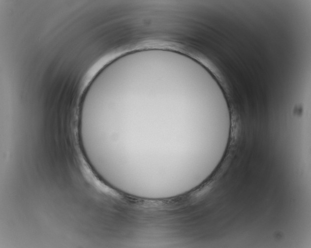 X0000115721094200911121057