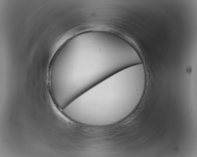 X0000115721095200911121057