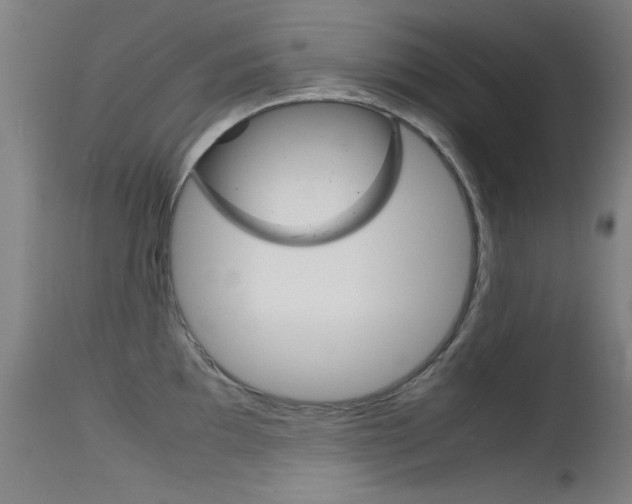 X0000115721097200911121057