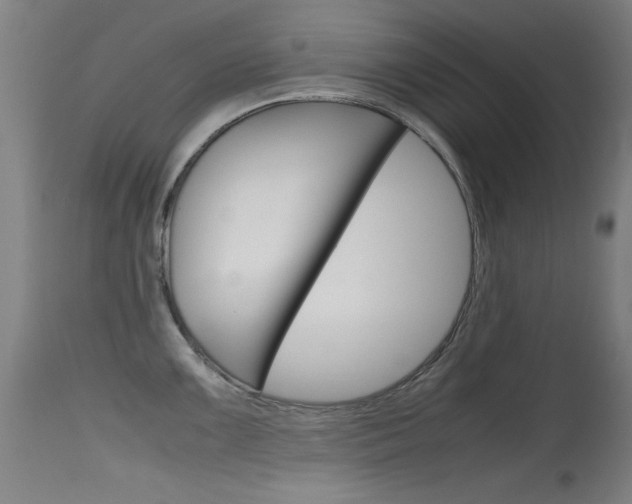 X0000115721099200911121057