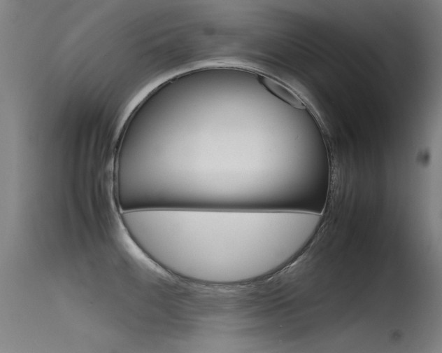 X0000115721100200911121057
