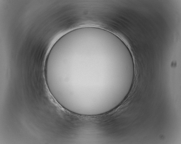 X0000115721104200911121057
