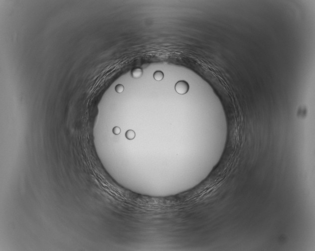 X0000115721105200911121056