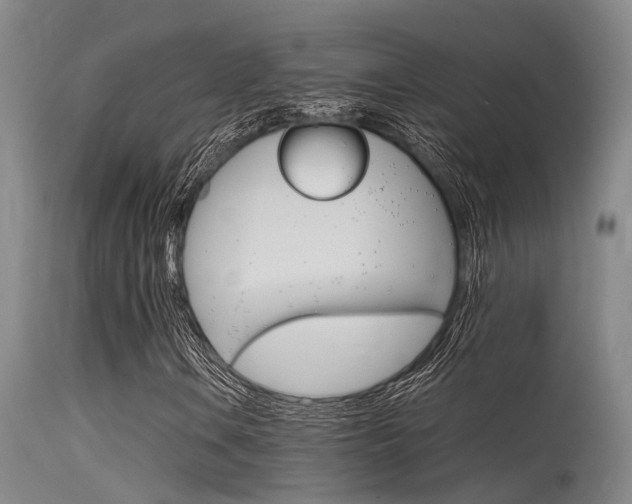 X0000115721106200911121056
